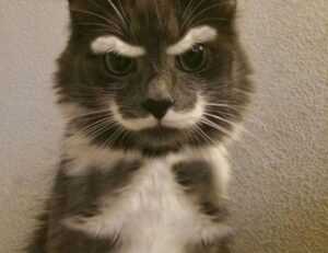 what is a game rogrand525 launcher pc