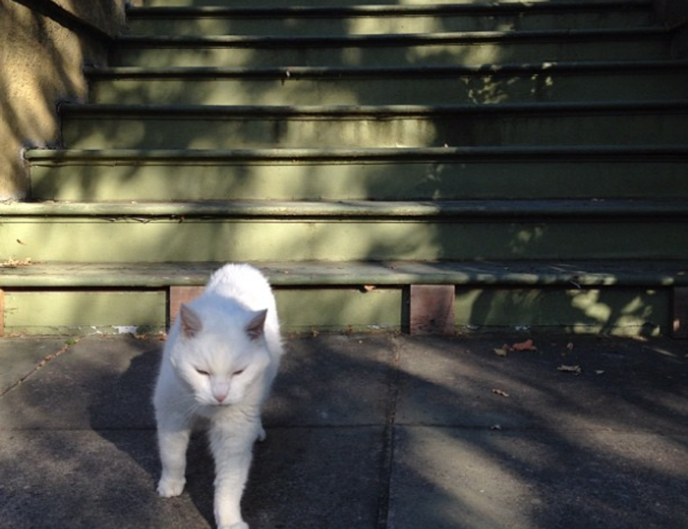 casimir schmidt vriendin