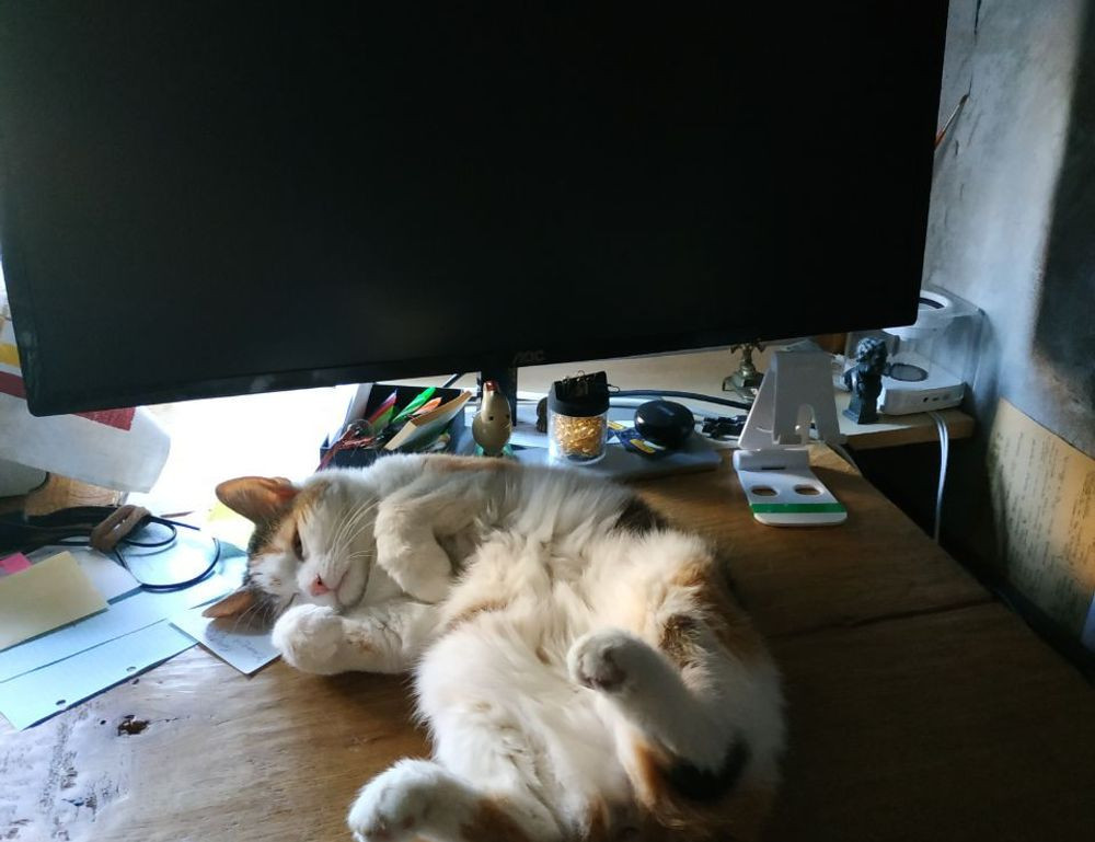 goedemorgen bloemen gif