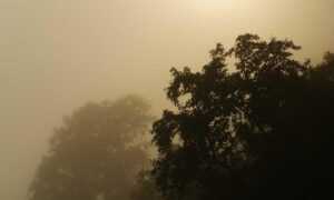 gracecharisxo onlyfans leaks