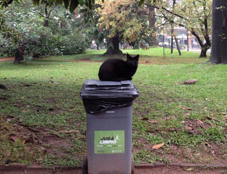 komban bus skin download light