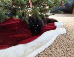 lengte jutta leerdam