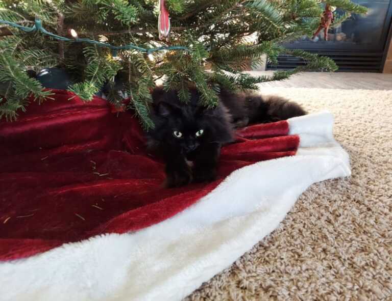 lengte jutta leerdam