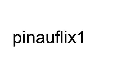 pinauflix1