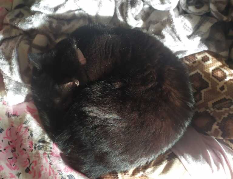 tatuagem coração com nome dos filhos