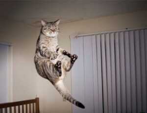 tatuaje liguero mandala