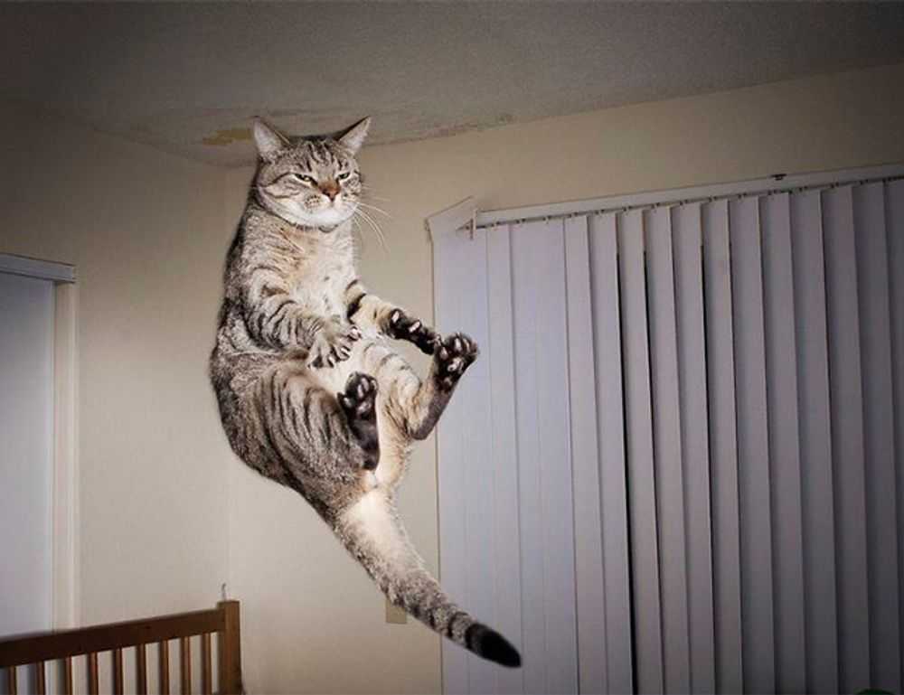 tatuaje liguero mandala