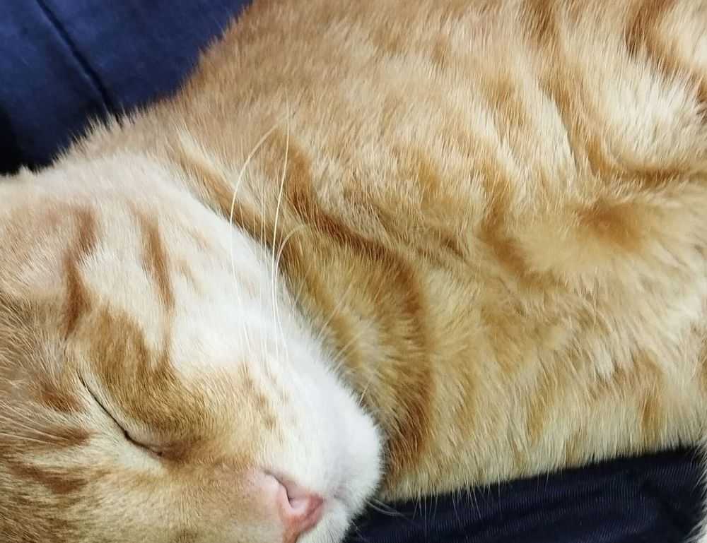 taylor swift ugly photos