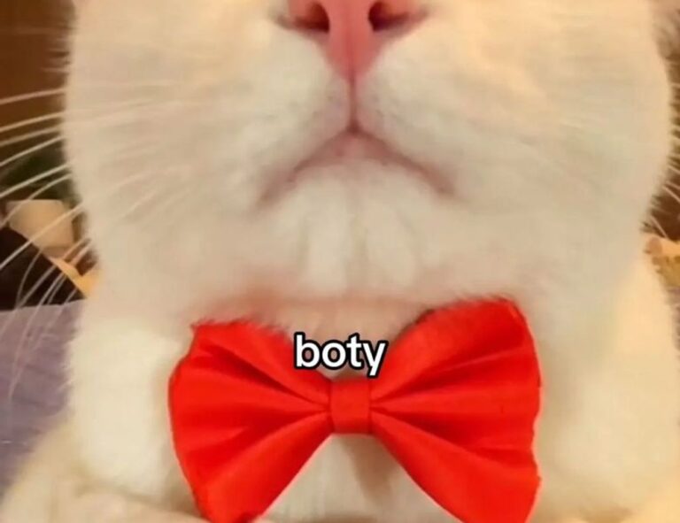 vestuario alejandra guzman 90s