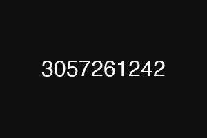 3057261242
