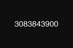 3083843900