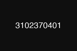 3102370401