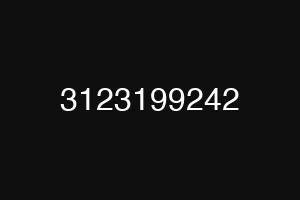 3123199242