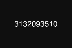 3132093510