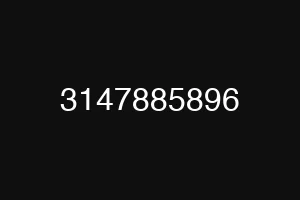 3147885896