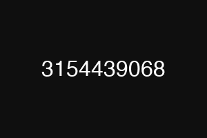 3154439068