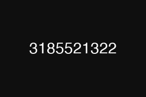 3185521322