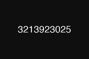 3213923025