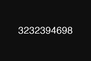 3232394698