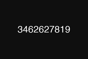 3462627819