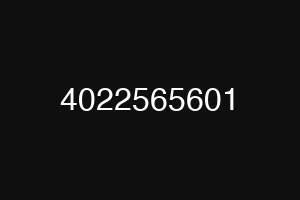 4022565601
