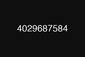 4029687584