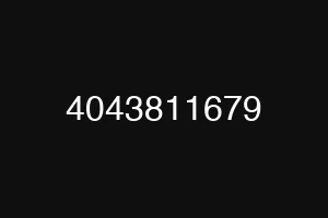 4043811679