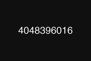 4048396016