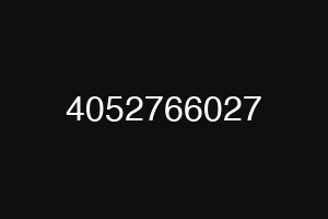 4052766027