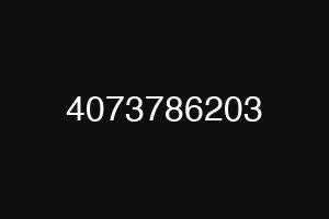 4073786203