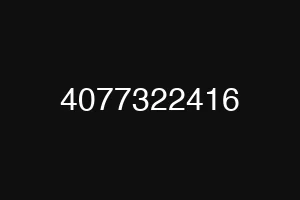 4077322416
