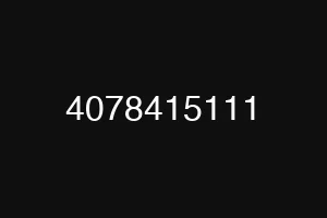 4078415111