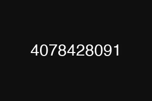 4078428091