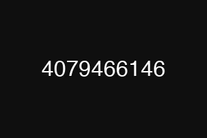 4079466146
