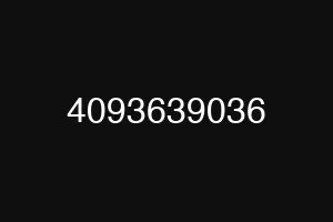 4093639036