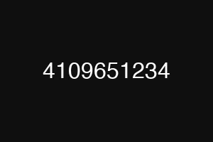 4109651234