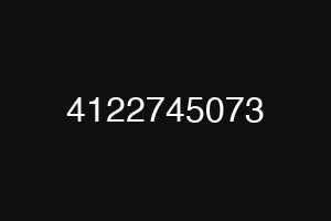 4122745073