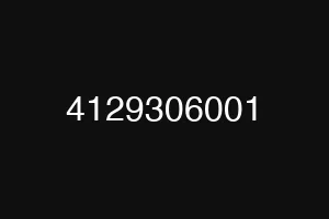 4129306001