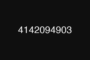 4142094903