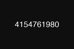 4154761980
